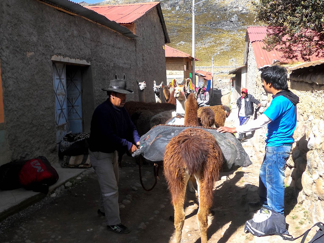Photo d'expédition dans les Andes (2/12)