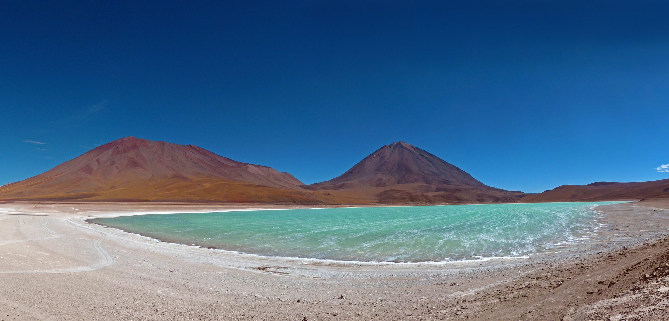 Lagune colorée de l'Altiplano bolivien