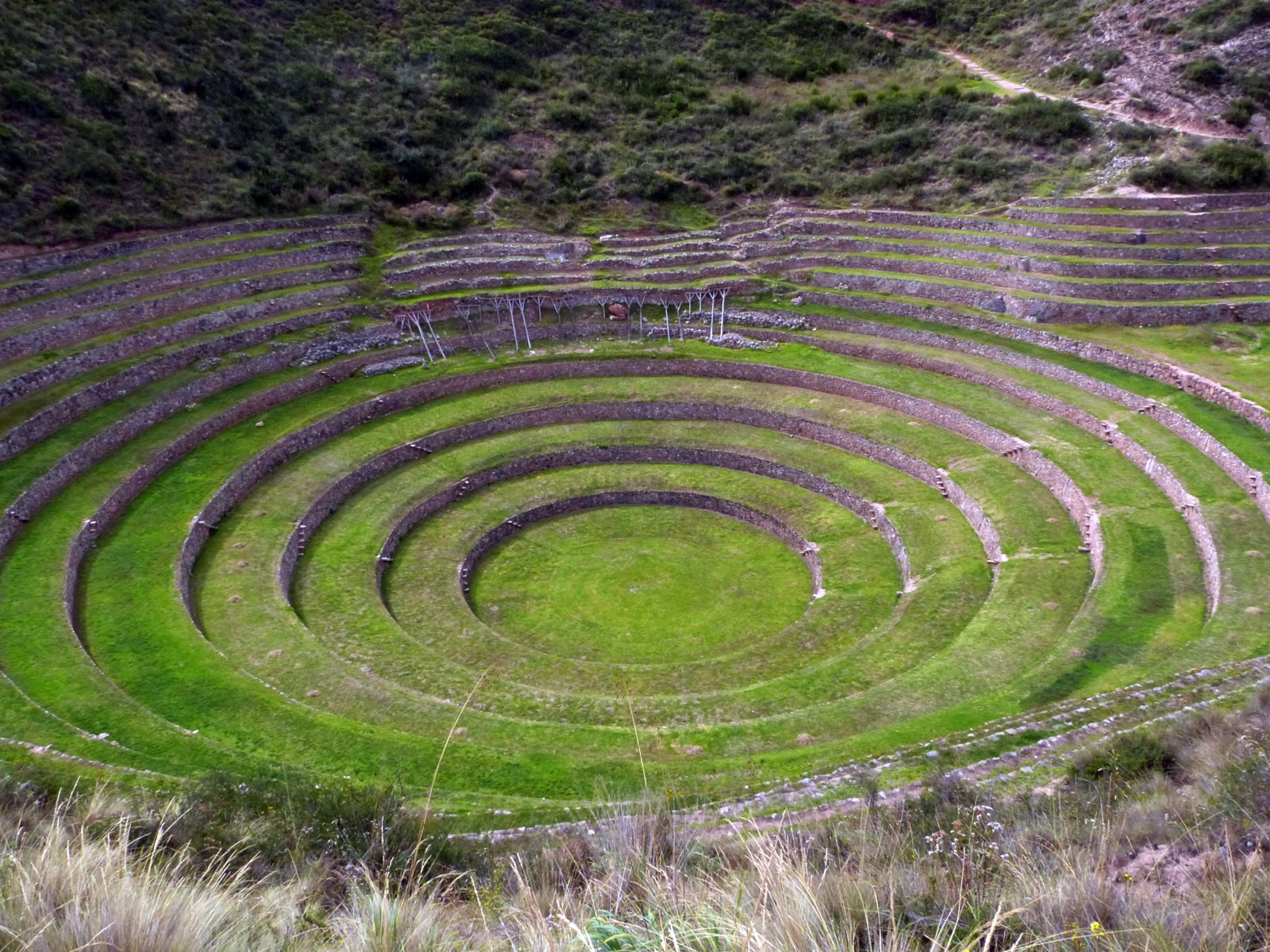 Moray