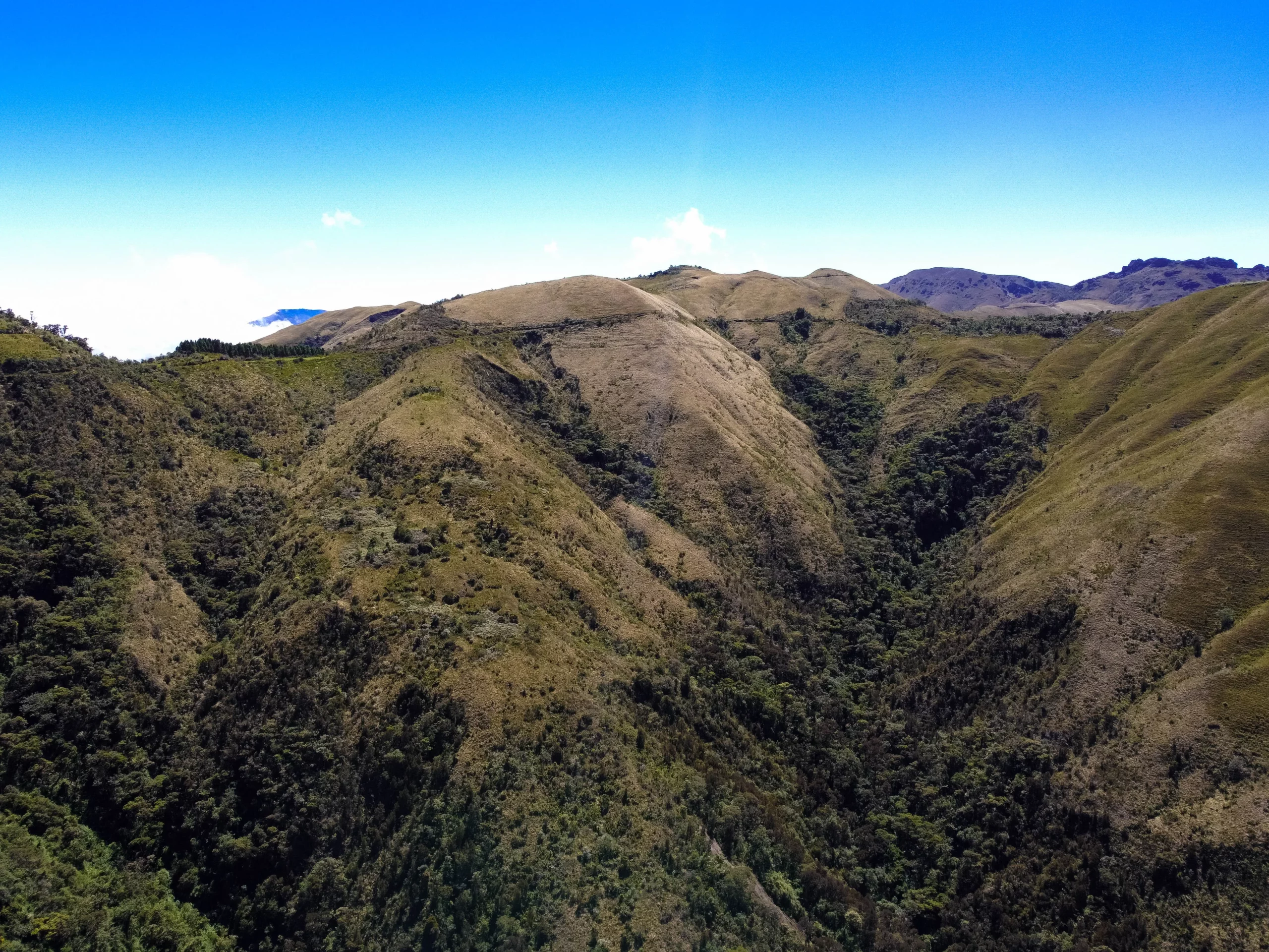 DJI_0379_resultat