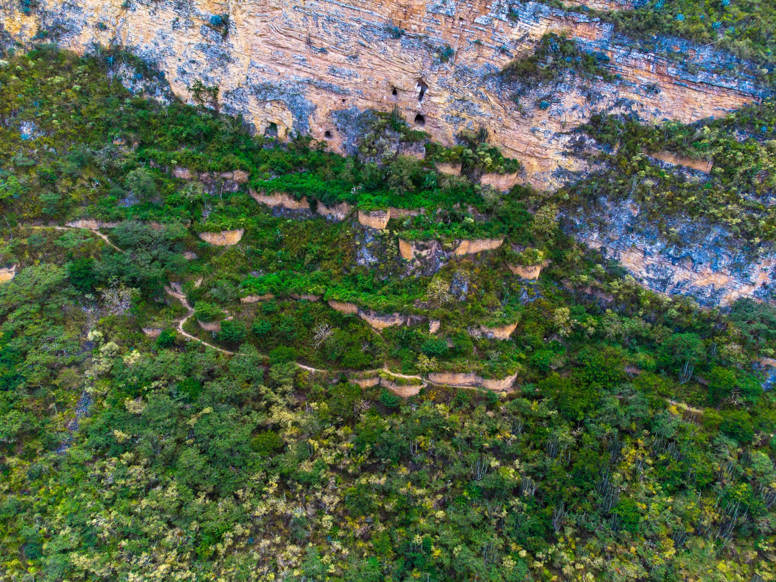 DJI_0402_resultat