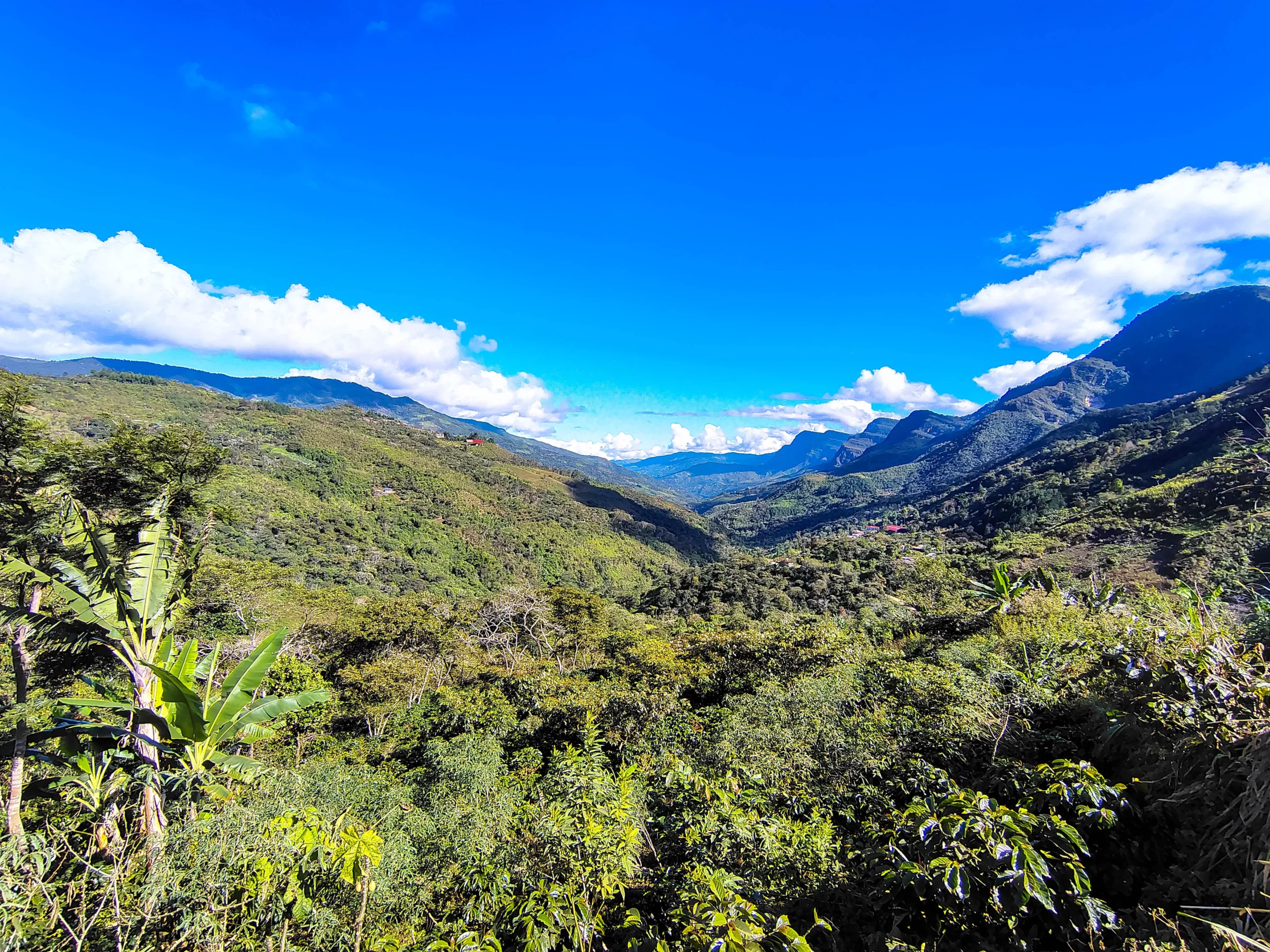 IMG_20250621_091832685_HDR_resultat