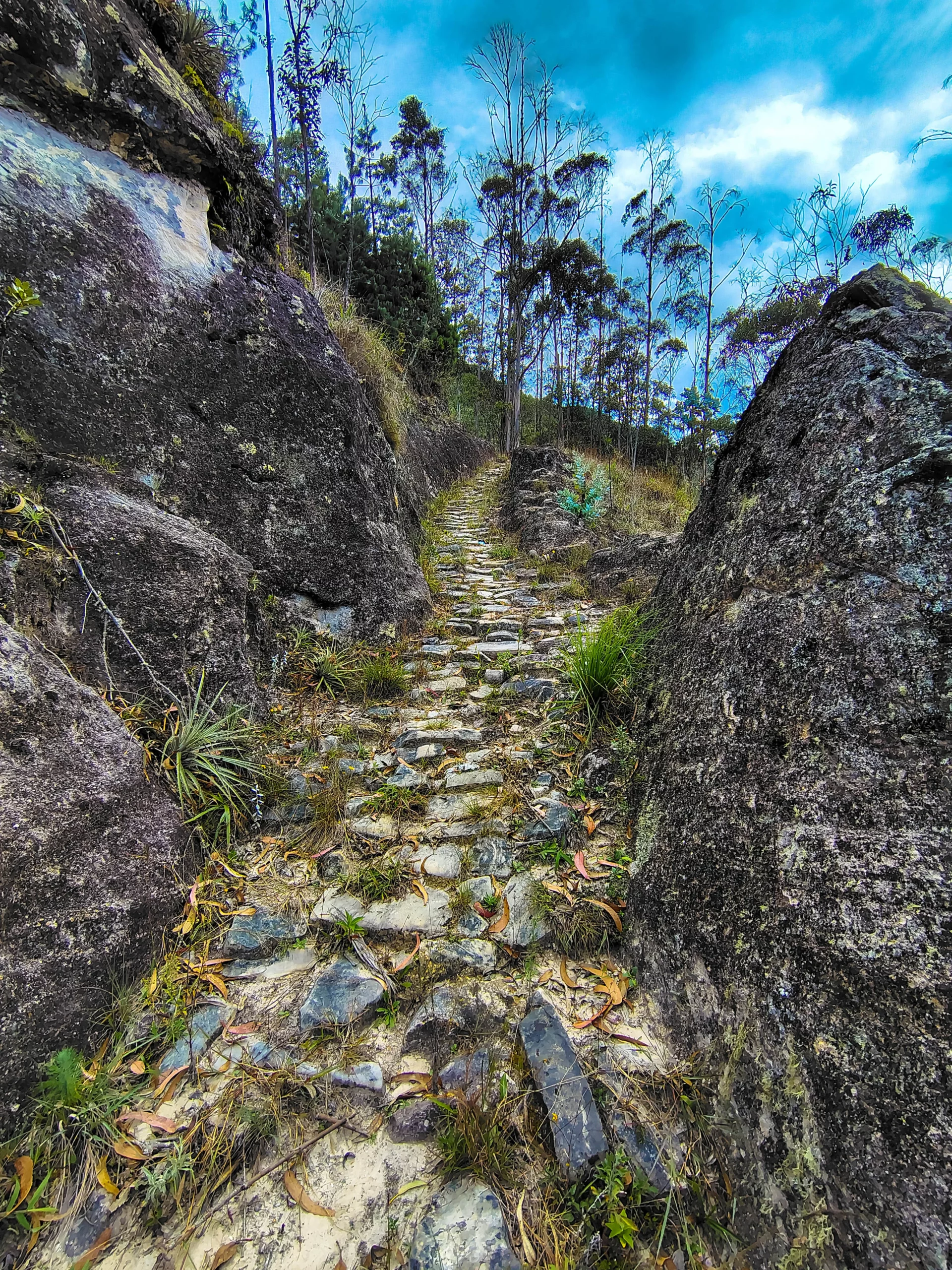IMG_20250623_145448267_HDR_resultat
