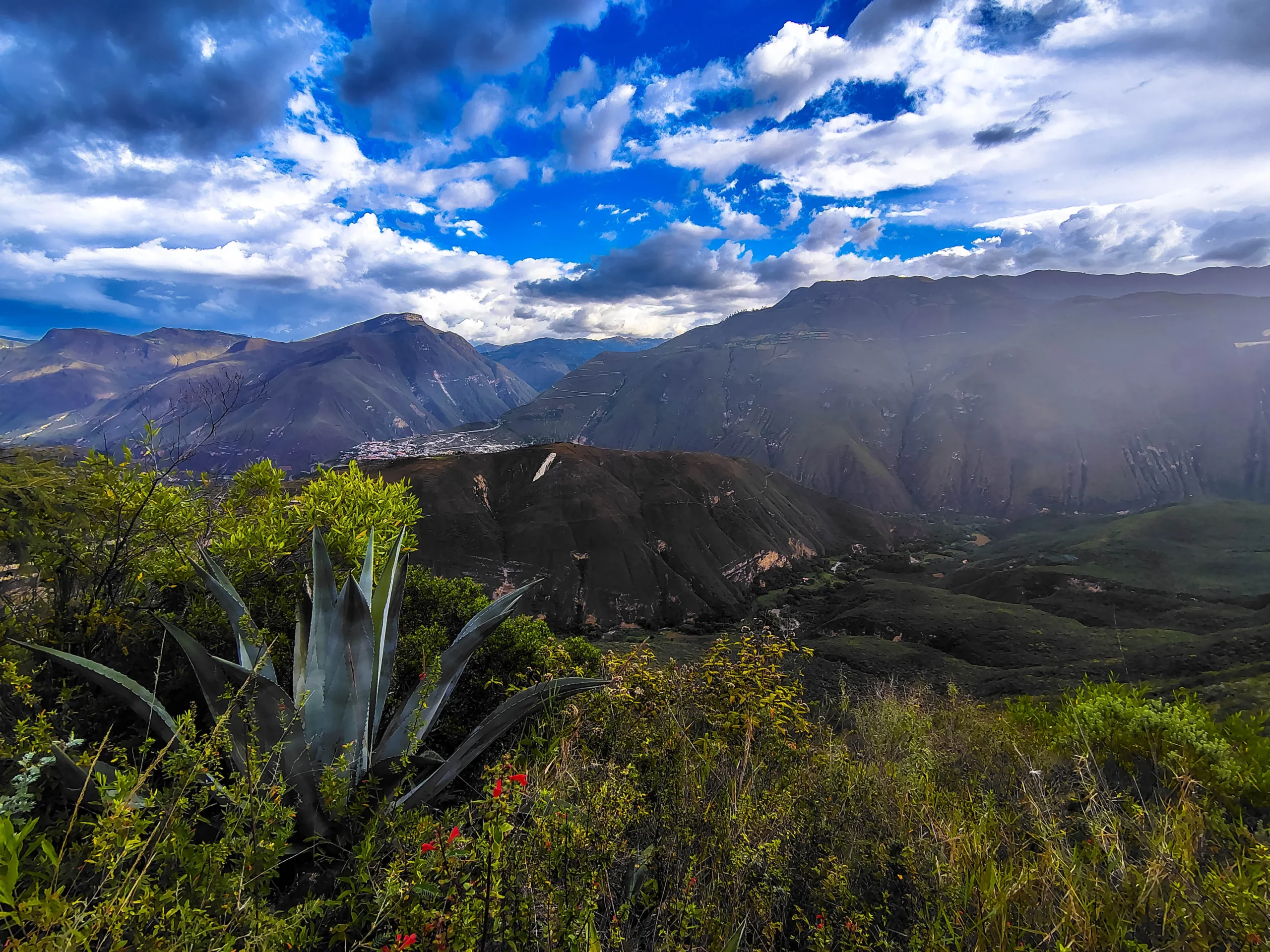 IMG_20250623_161447002_HDR_resultat