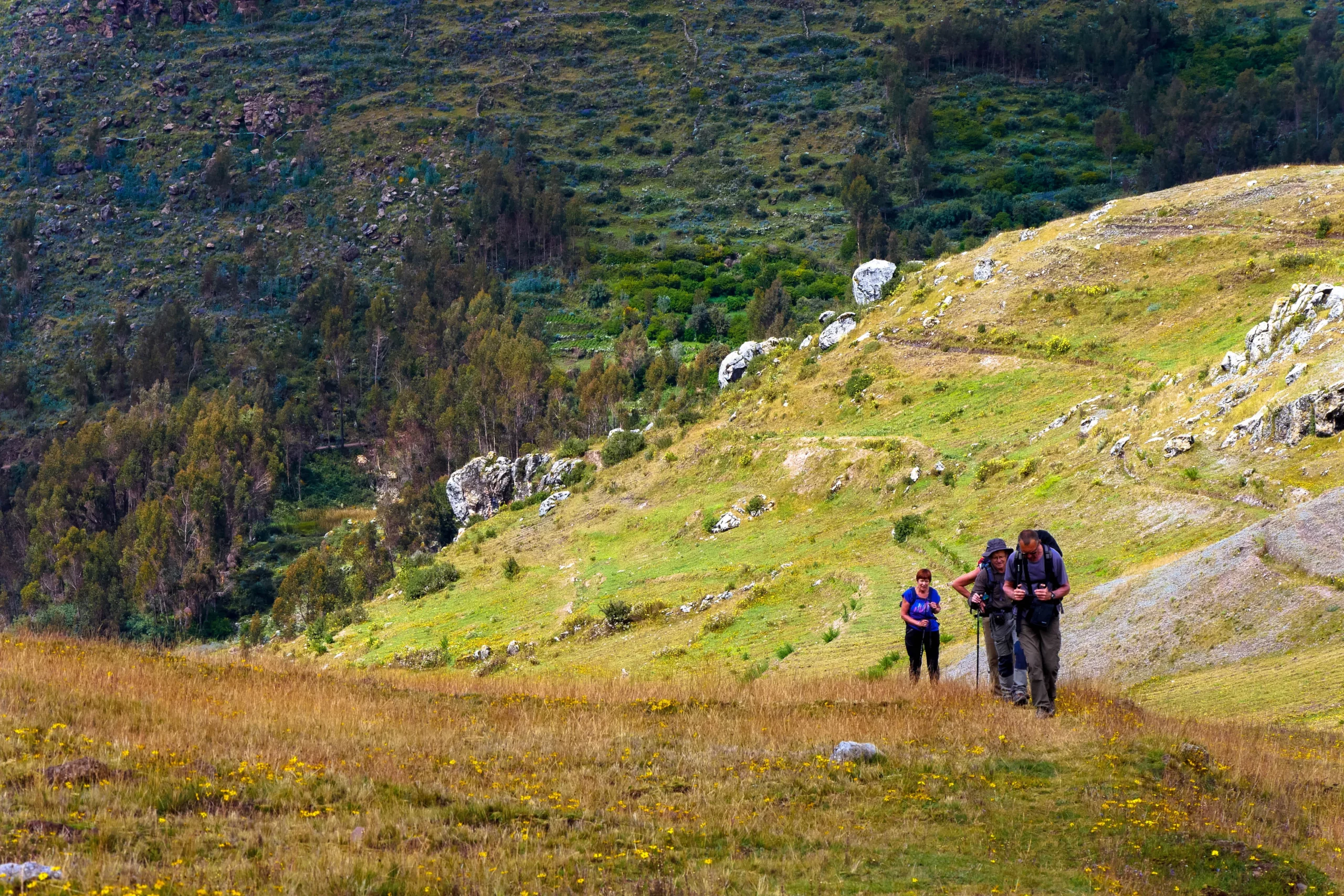 P1080388_resultat
