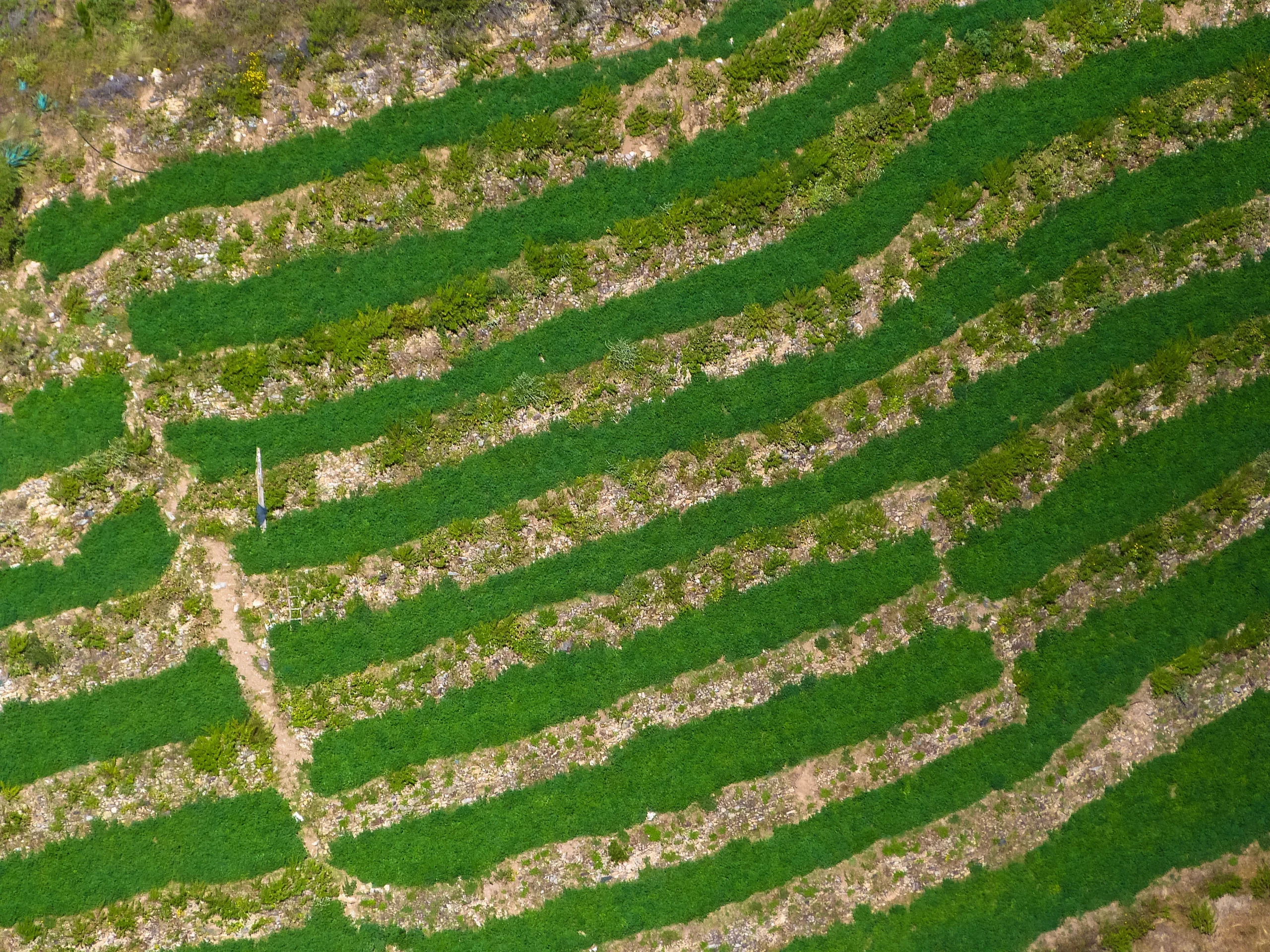 P1330653_resultat