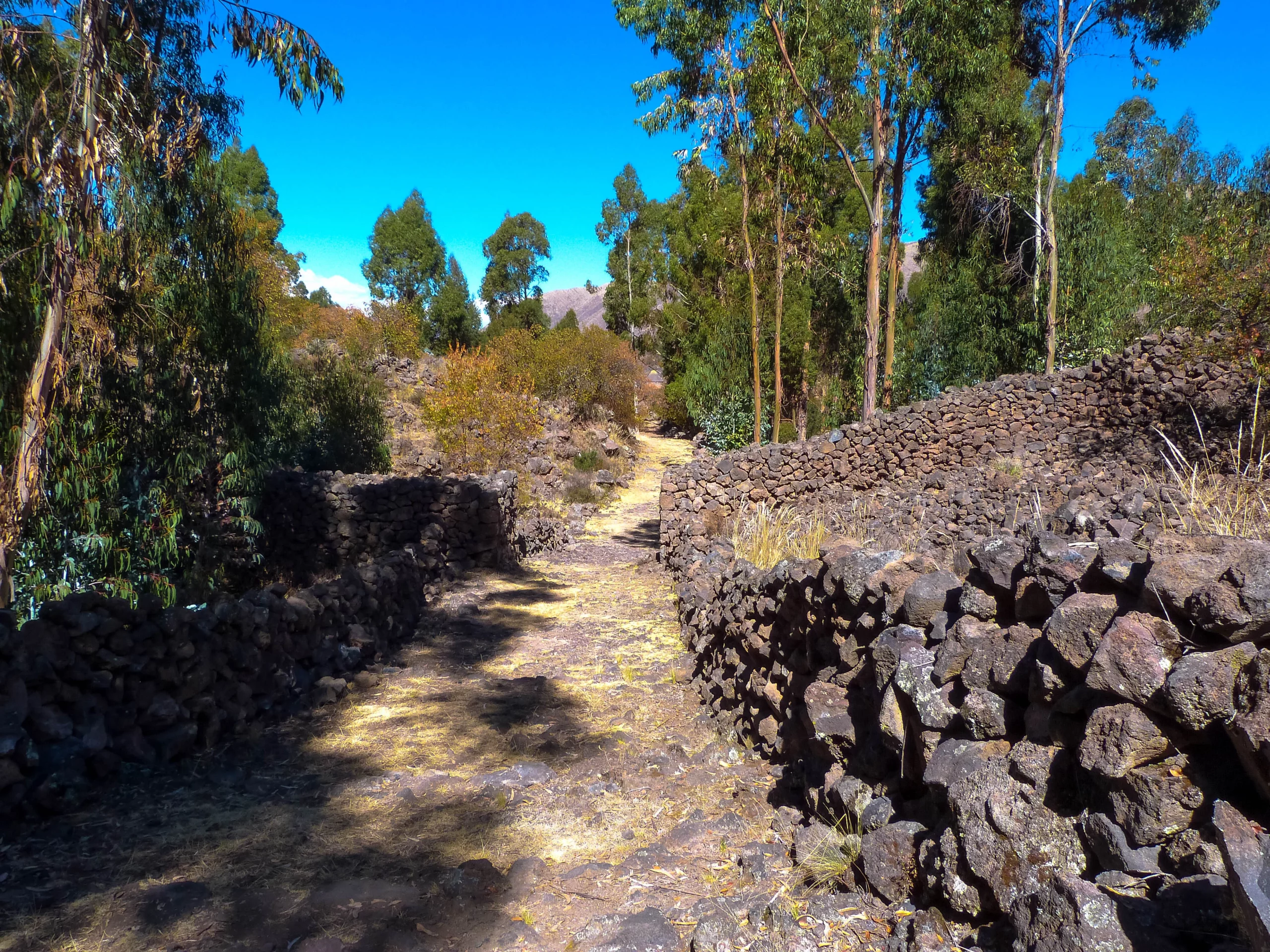 P1350760_resultat