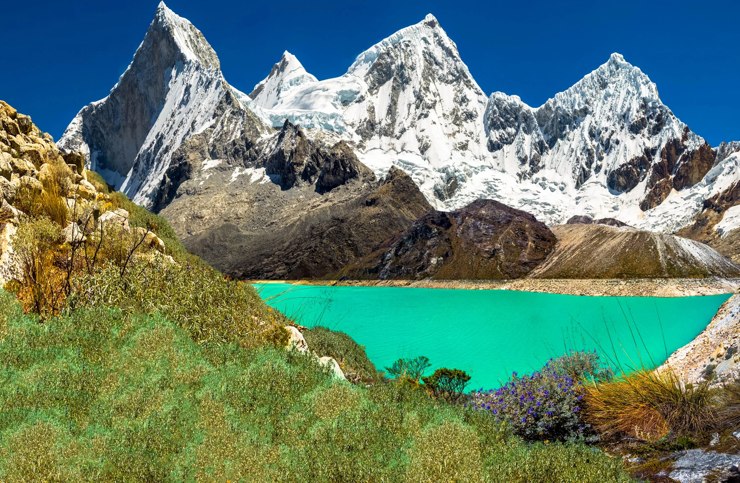 Paron_resultat