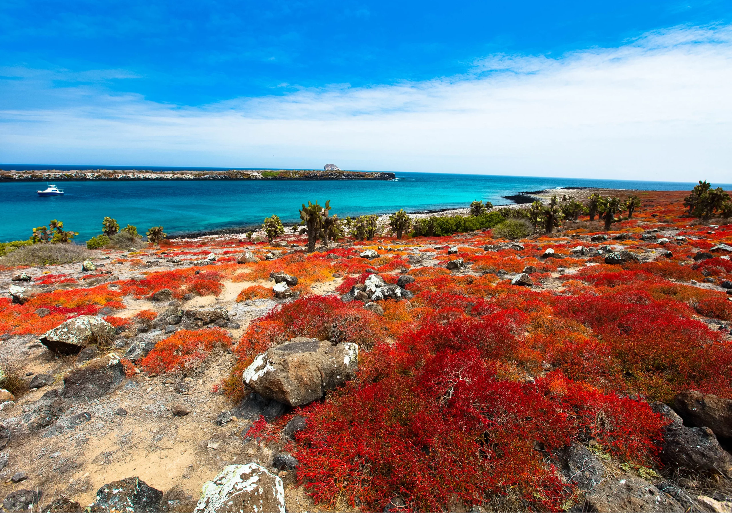 Galápagos intégral : aventure active entre mer et îles