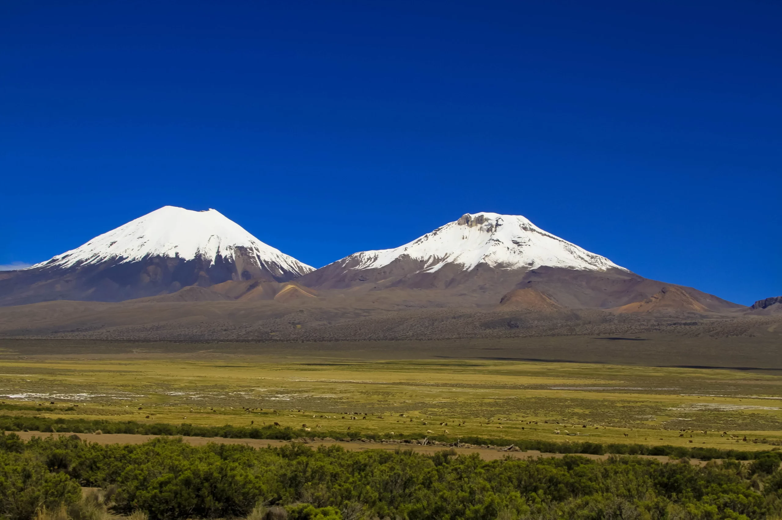 Bolivie : entre sommets et volcans de l&rsquo;Altiplano