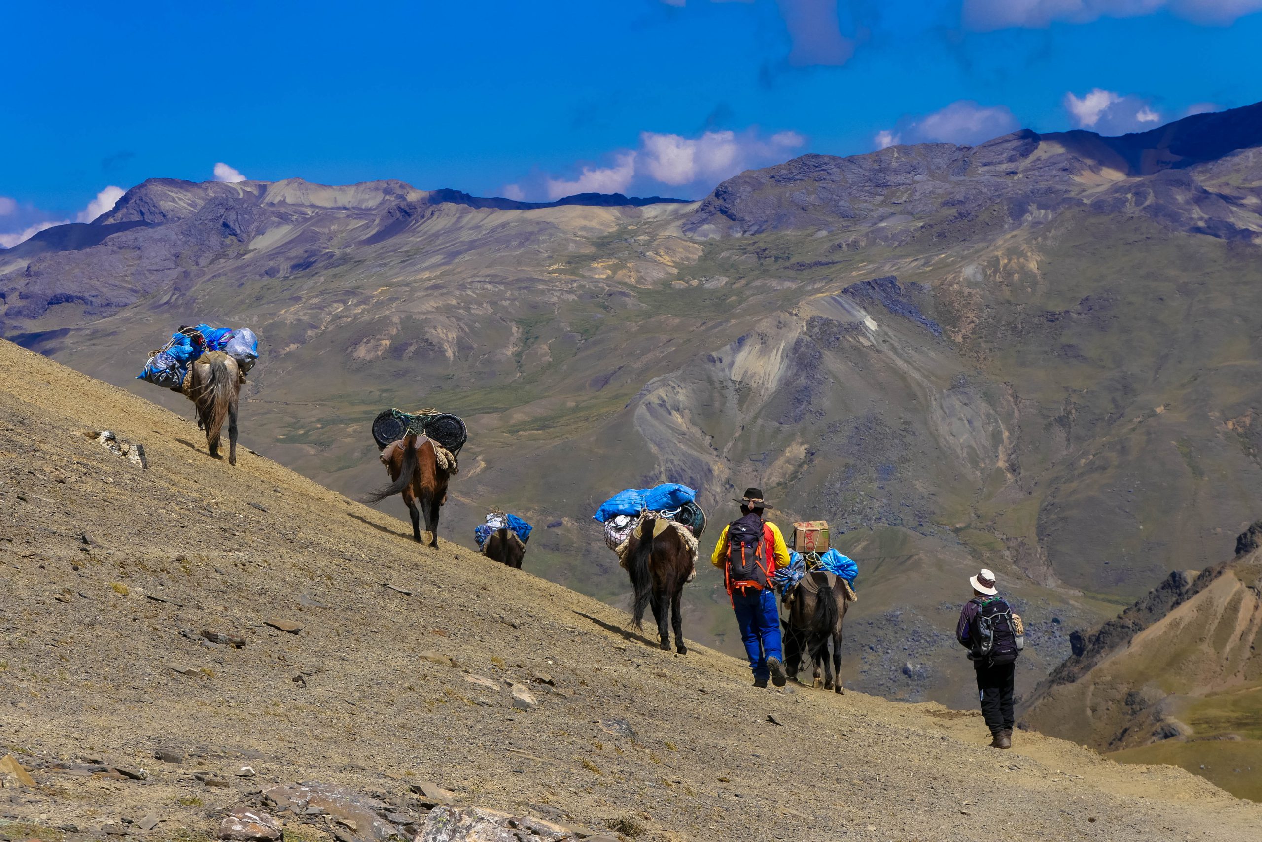 Caravane de mules sur les hauteurs de l'Ausangate
