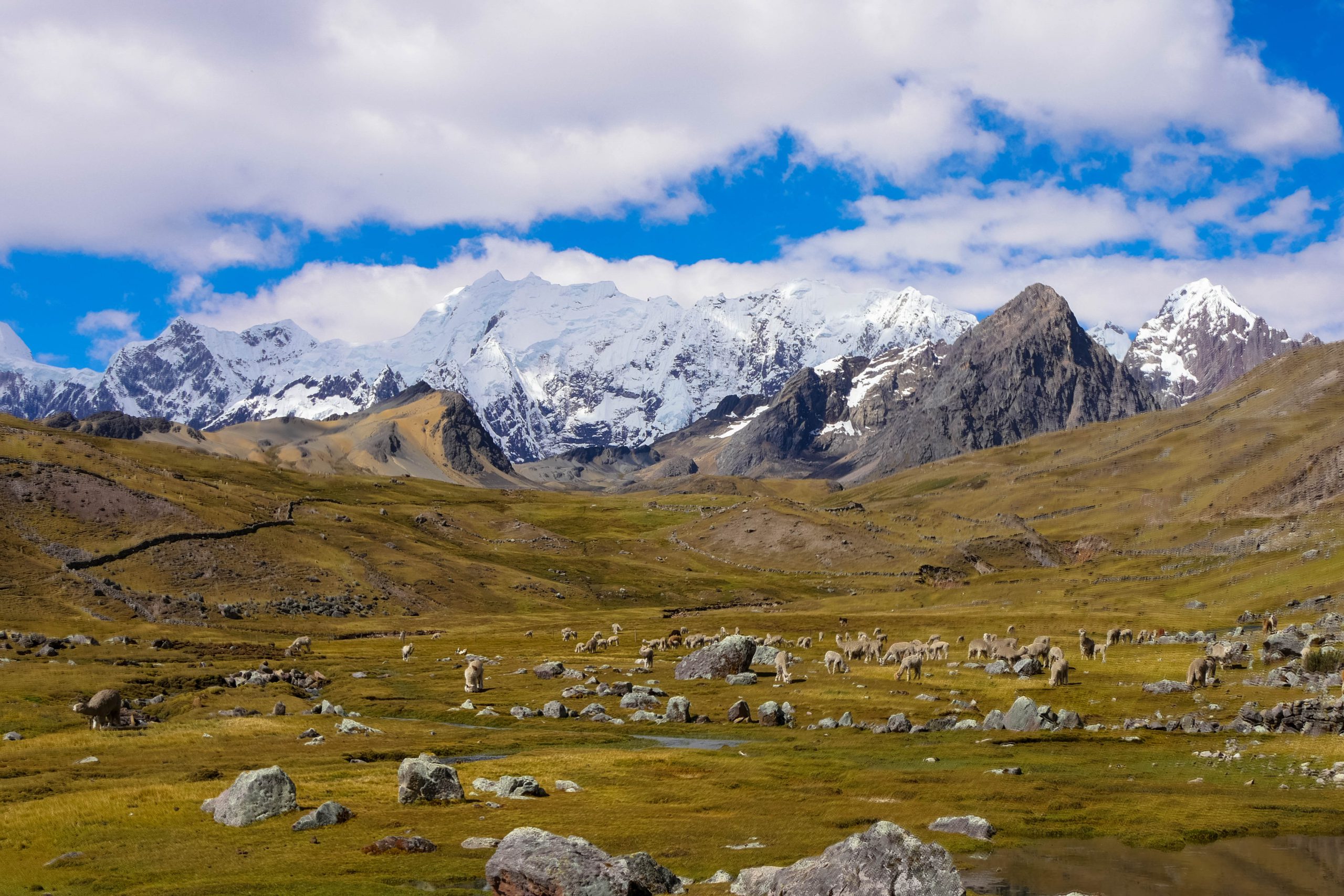 Paysage de haute montagne, cordillère de Vilcanota