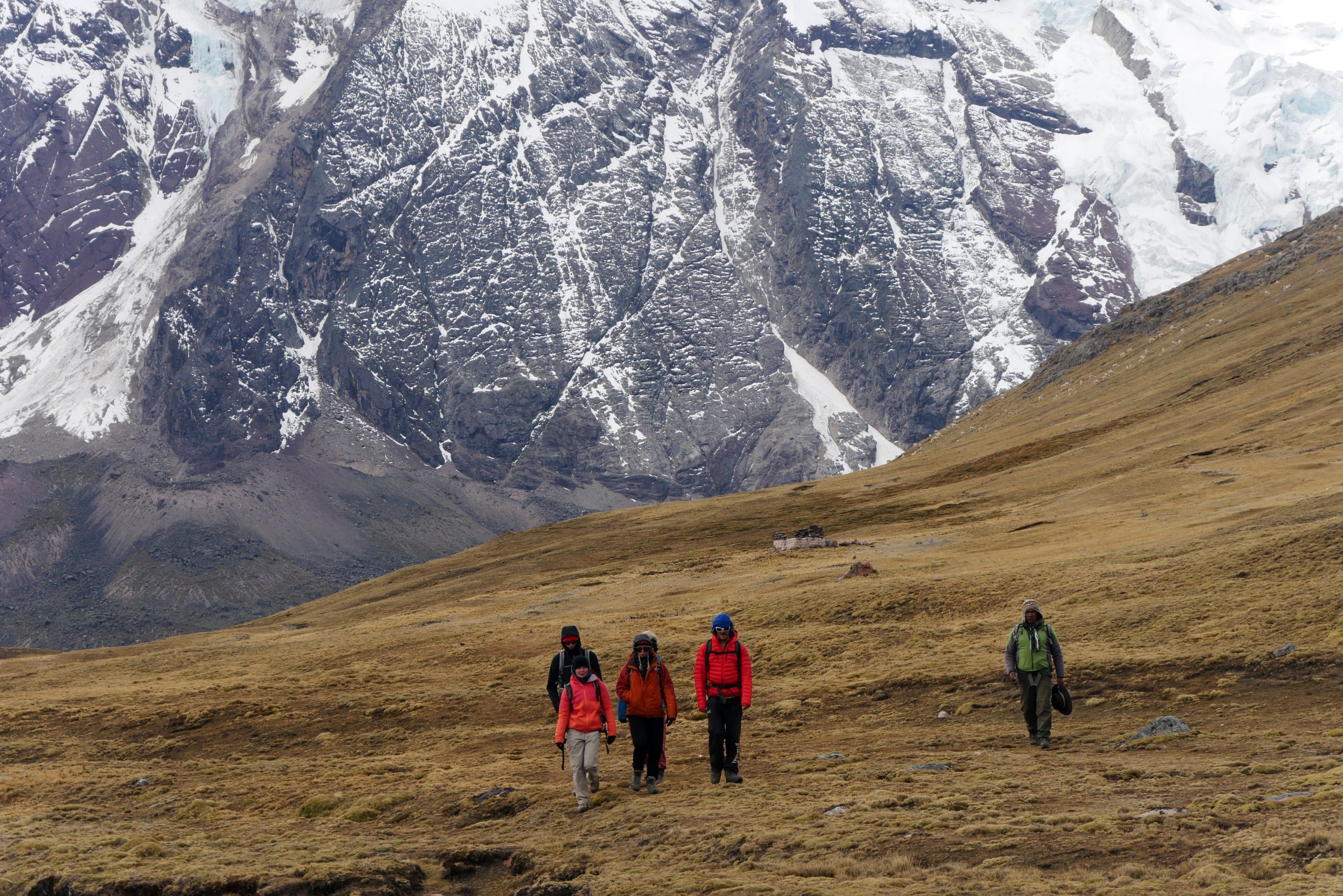 Randonneurs et caravane de mules face aux glaciers de la cordillère de Vilcanota