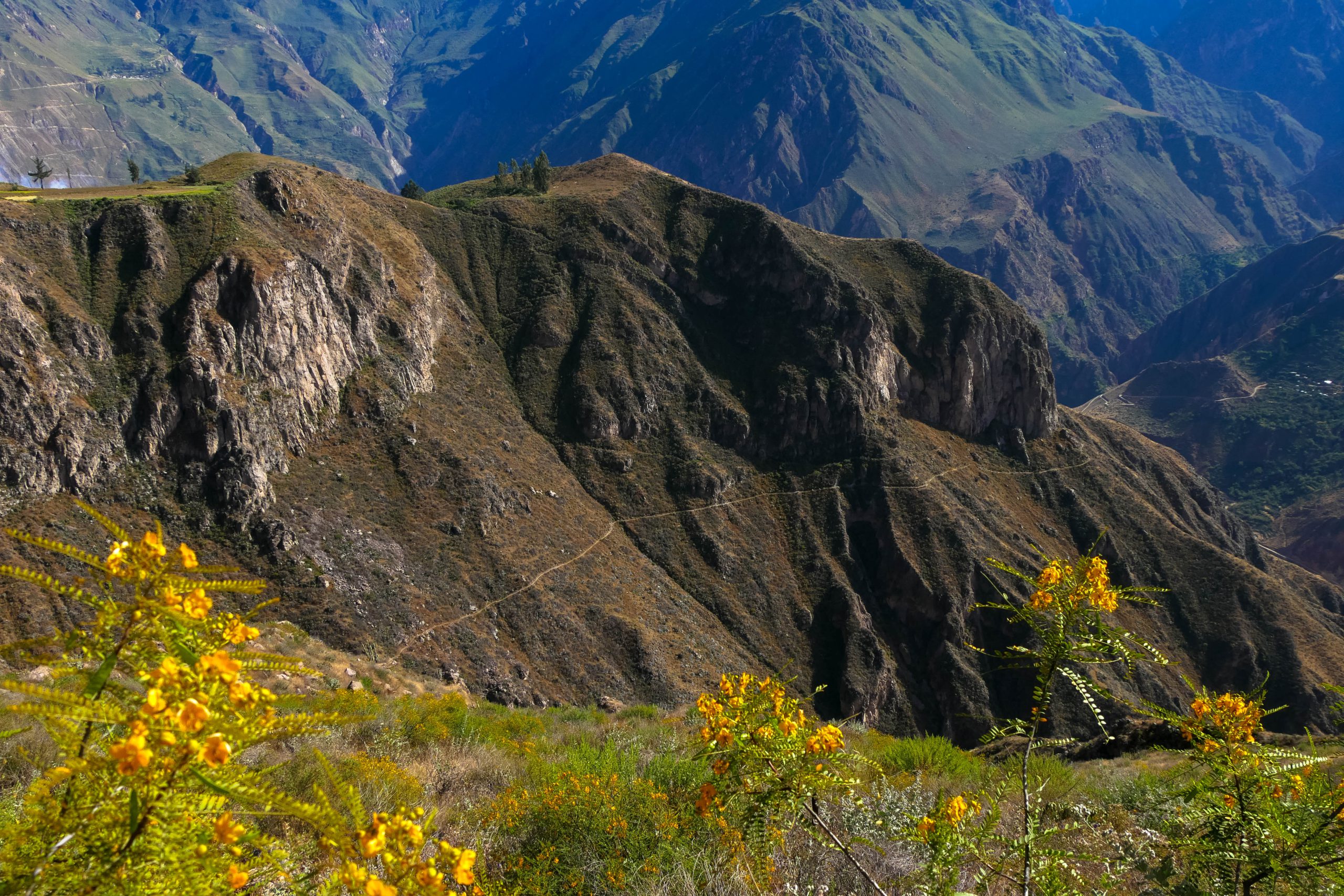 Canyon de Colca — photo 3