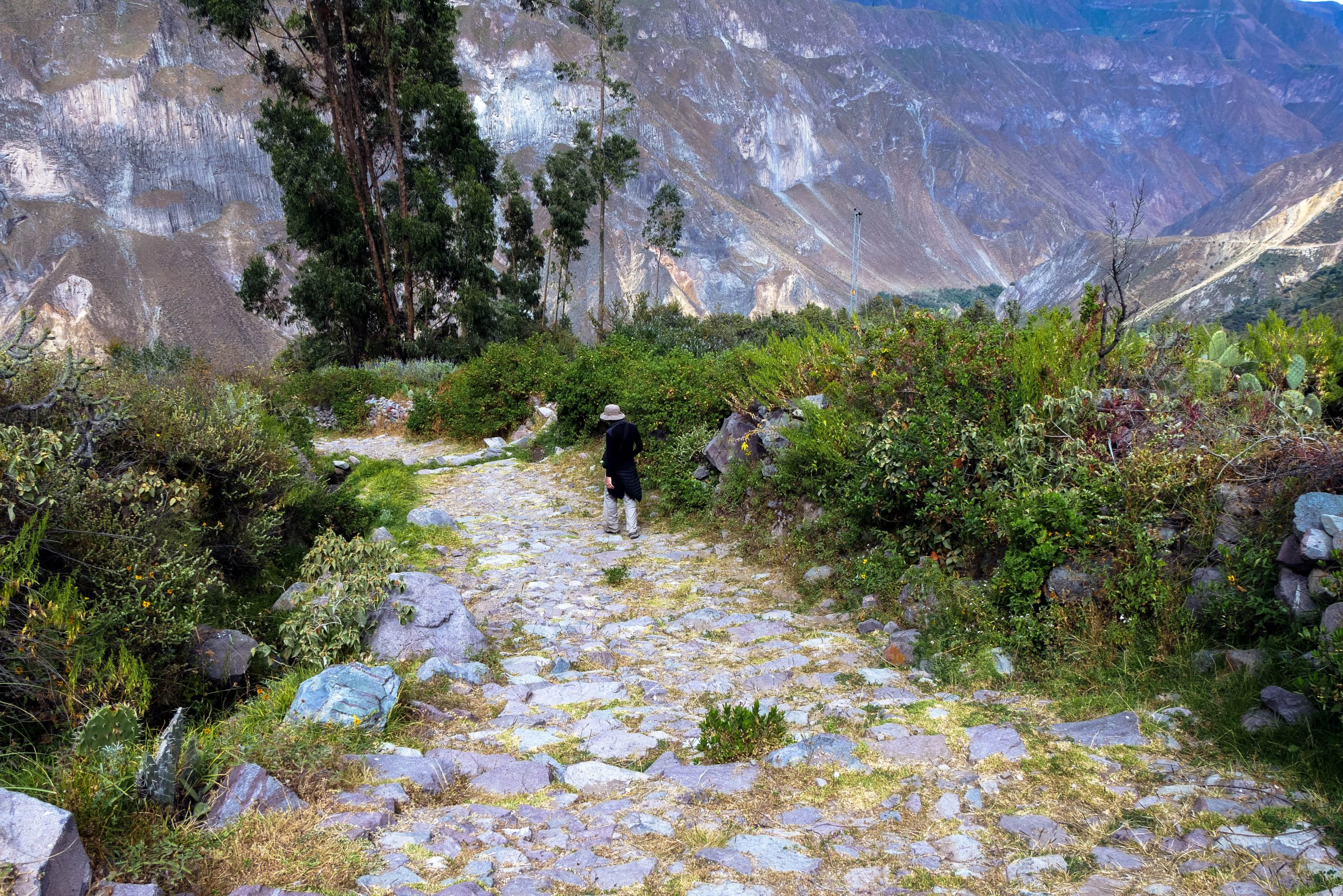 Canyon de Colca — photo 6