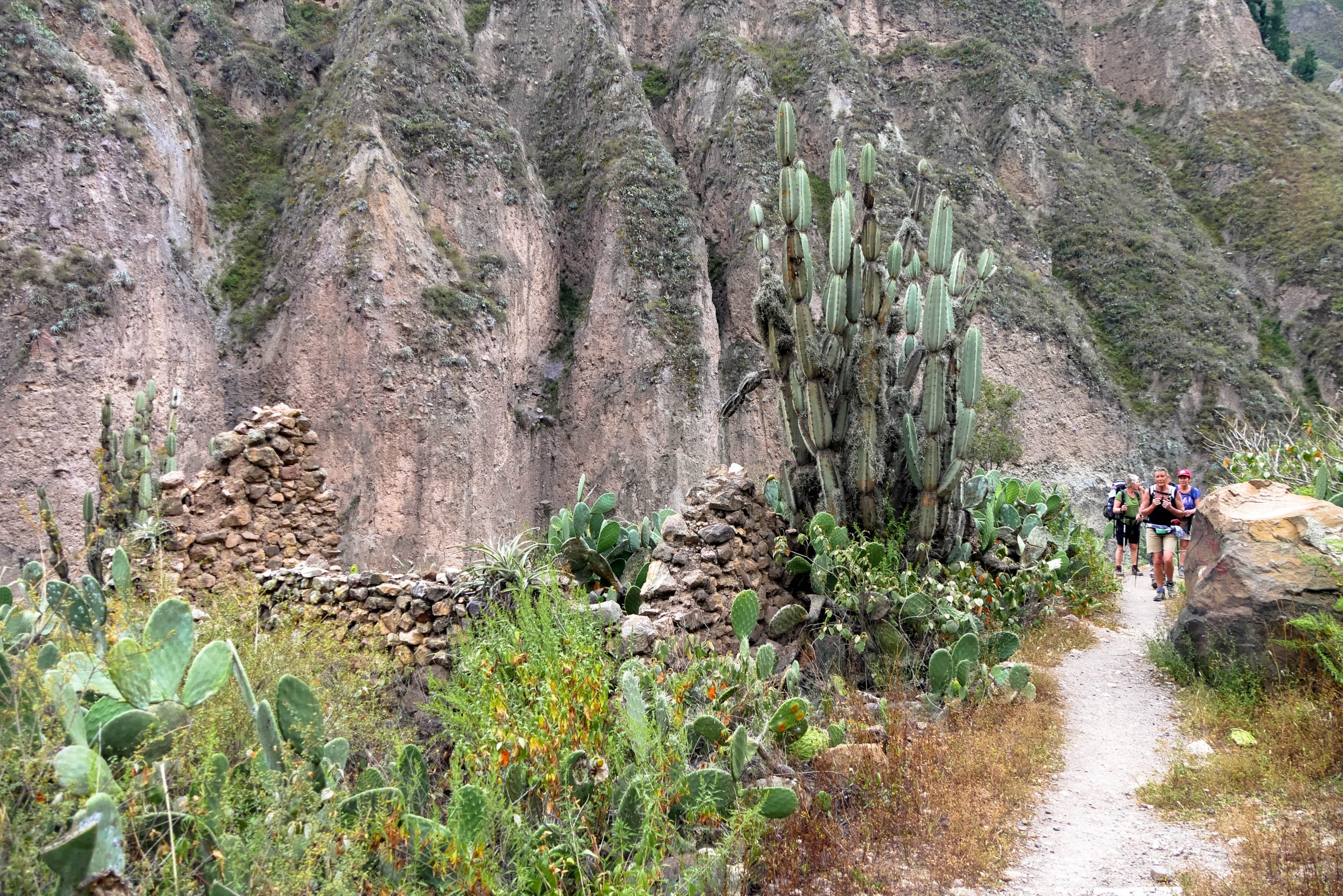 Canyon de Colca et Haut Colca — photo 12