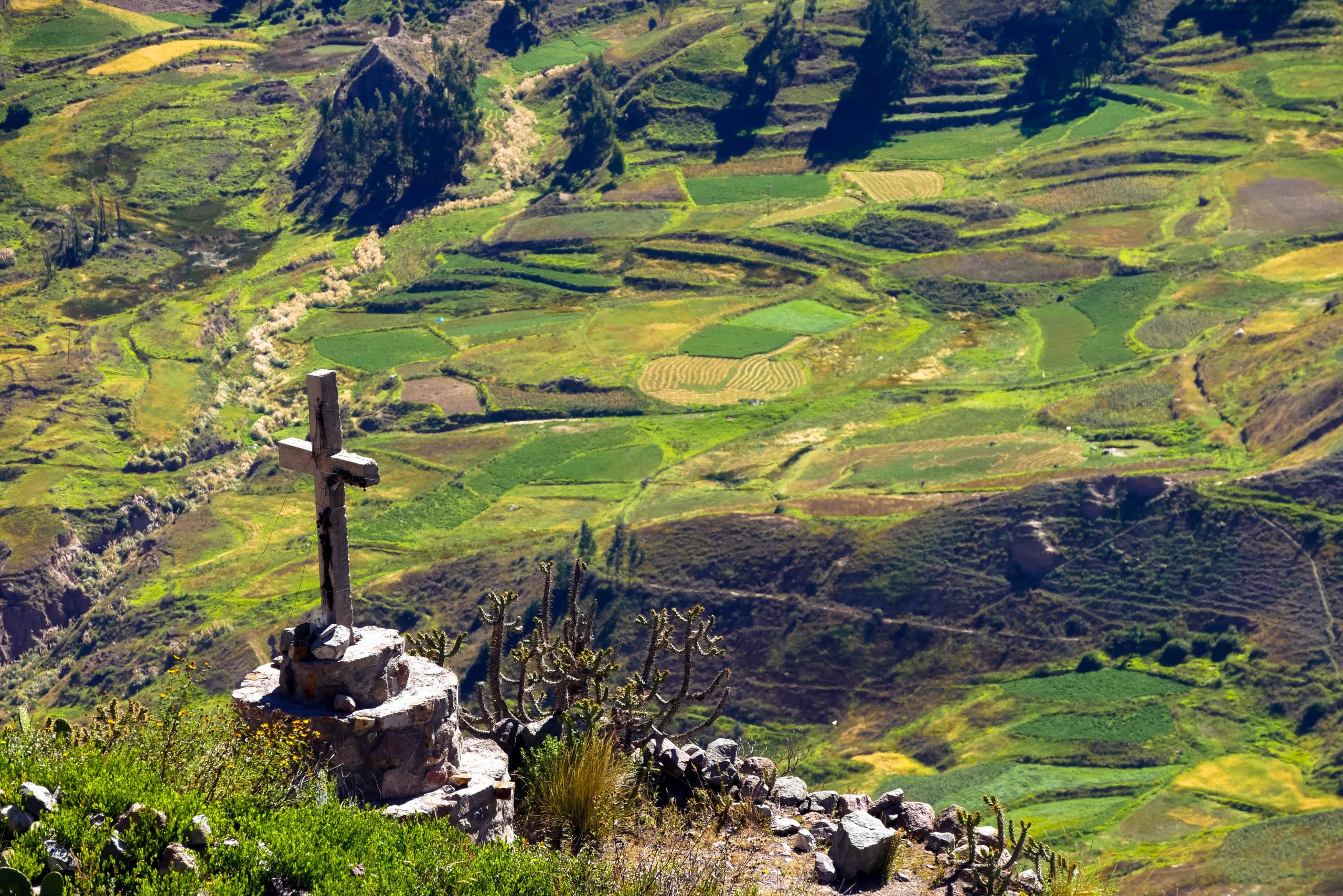 Canyon de Colca et Haut Colca — photo 15