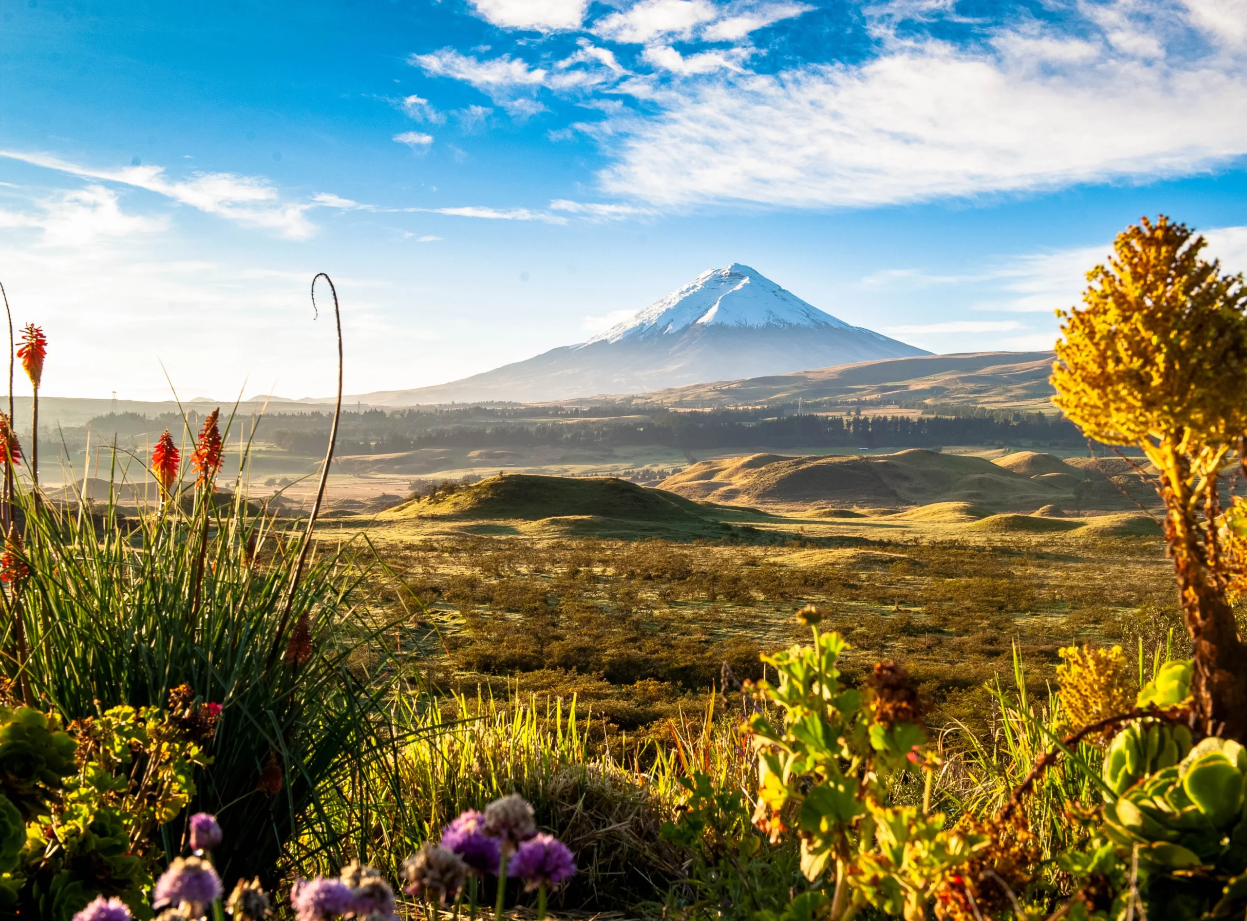 cotopaxi_resultat