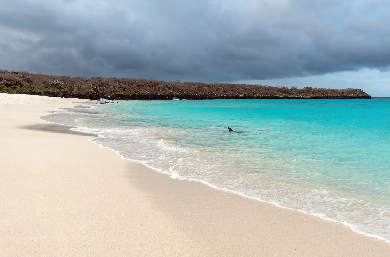 Galápagos d&rsquo;île en île, l&rsquo;aventure entre volcans et récifs