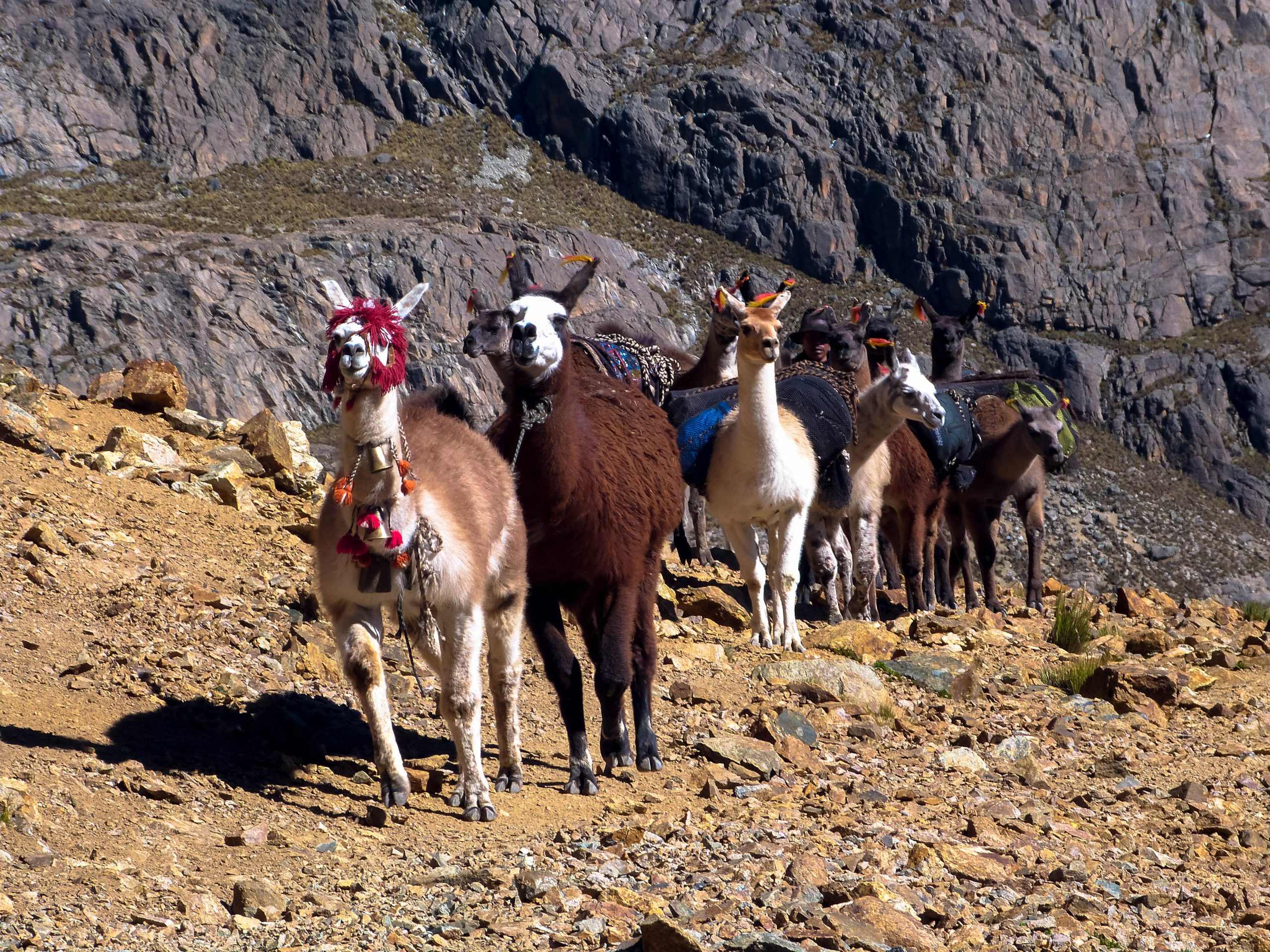 Grande traversée des cordillères Vauyos et Pariacaca — photo 10