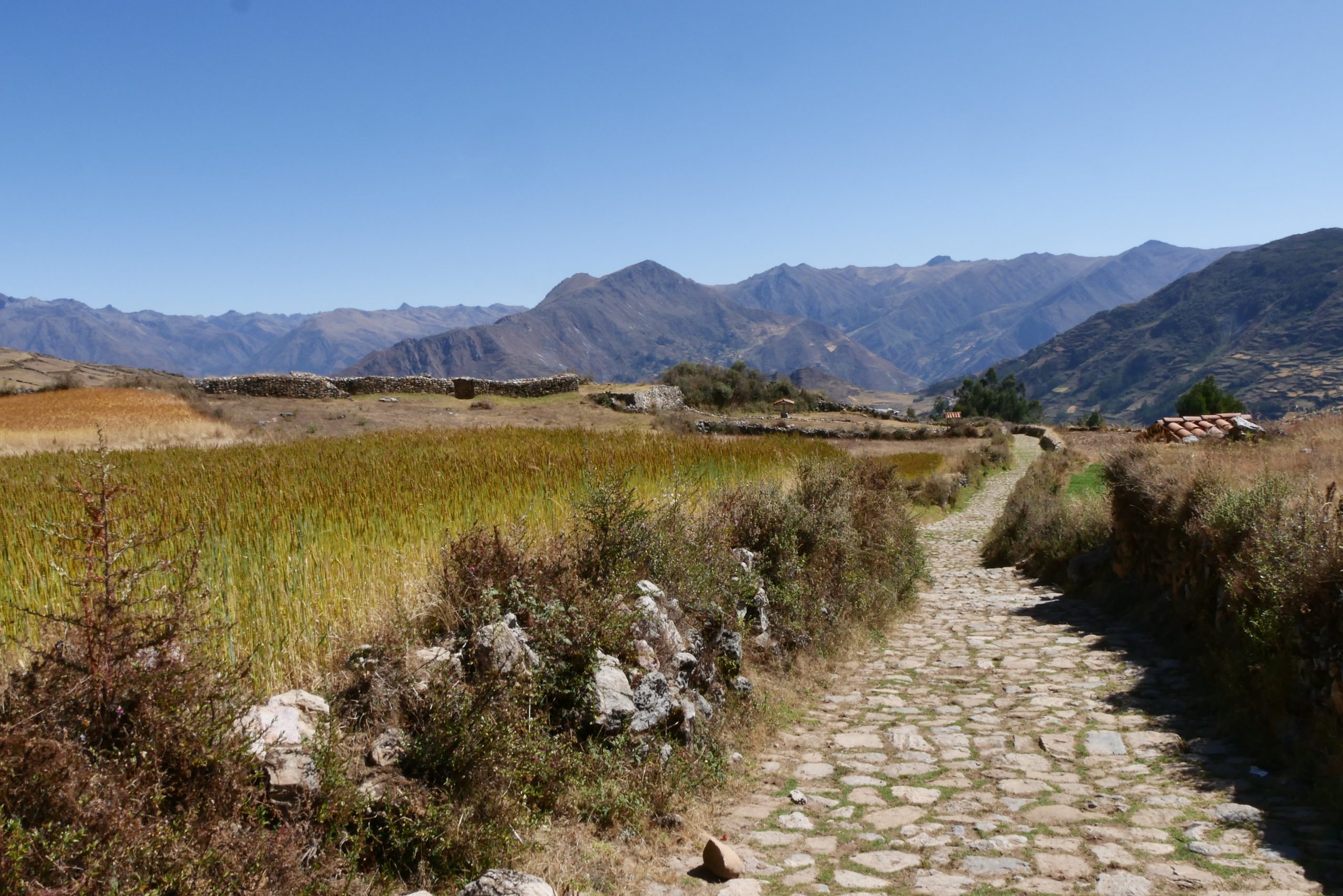 Inca Ñaani : la grande traversée andine — photo 14